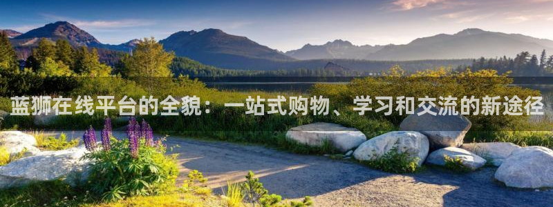 佳能今年会出新相机吗：蓝狮在线平台的全貌：一站式购物、学习和交流的新途径