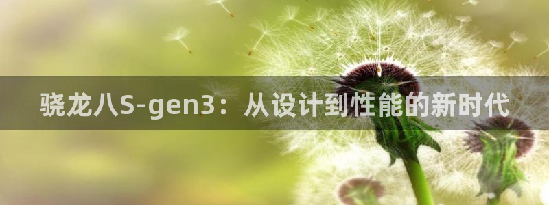 天秤座女今年会离婚吗：骁龙八S-gen3：从设计到性能的新时代