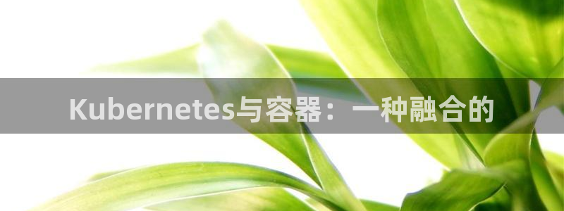今年会app下载官网：Kubernetes与容器：一种融合的
