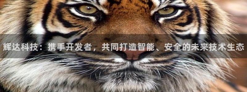 今年会官网登录入口：辉达科技：携手开发者，共同打造智能、安全的未来技术生态