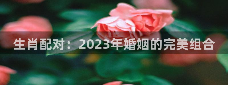 郑州银行今年会分红吗：生肖配对：2023年婚姻的完美组合