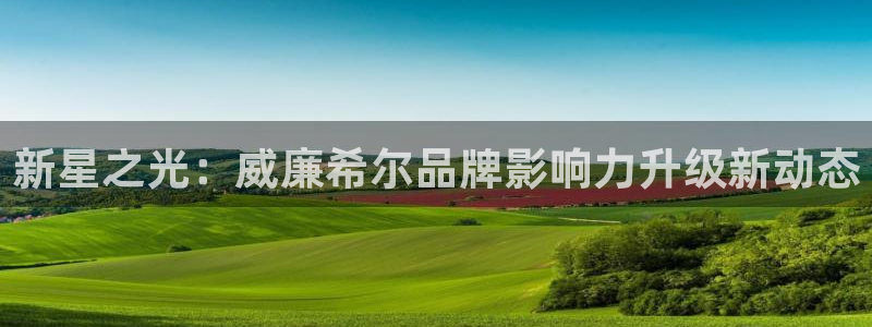 今年会天干吗：新星之光：威廉希尔品牌影响力升级新动态