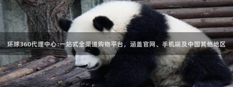 今年会app：环球360代理中心:一站式全渠道购物平台，涵盖官网、手机端及中国其他地区
