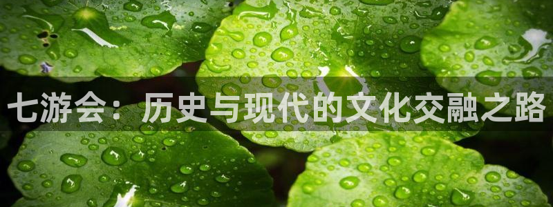 今年会涨价吗：七游会：历史与现代的文化交融之路
