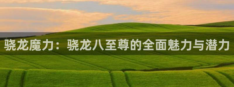 今年会官方app下载安装：骁龙魔力：骁龙八至尊的全面魅力与潜力
