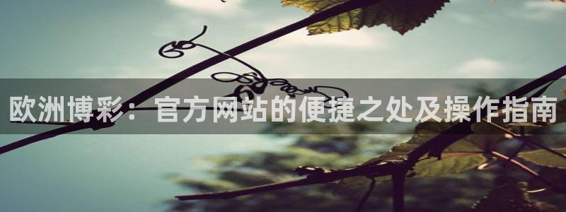 原油今年会涨吗：欧洲博彩：官方网站的便捷之处及操作指南