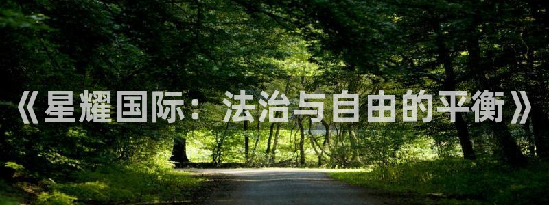今年会：《星耀国际：法治与自由的平衡》
