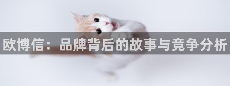 今年会是60年来最冷的冬天吗：欧博信：品牌背后的故事与竞争分析