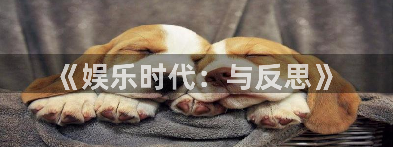 今年会今年会：《娱乐时代：与反思》