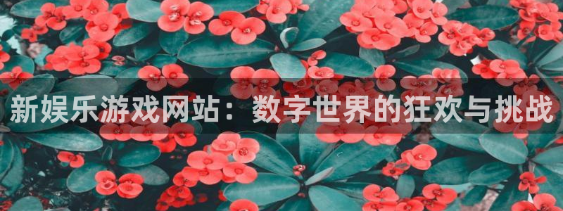 壹号电子娱乐app下载安装最新版本：新娱乐游戏网站：数字世界的狂欢与挑战