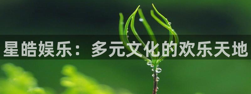 今年会app下载：星皓娱乐：多元文化的欢乐天地