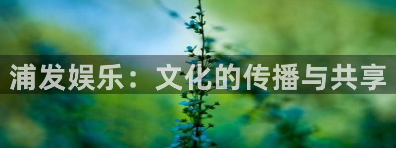 属鸡的今年会发财吗：浦发娱乐：文化的传播与共享