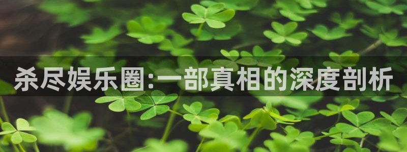 属马的人今年会死吗：杀尽娱乐圈:一部真相的深度剖析