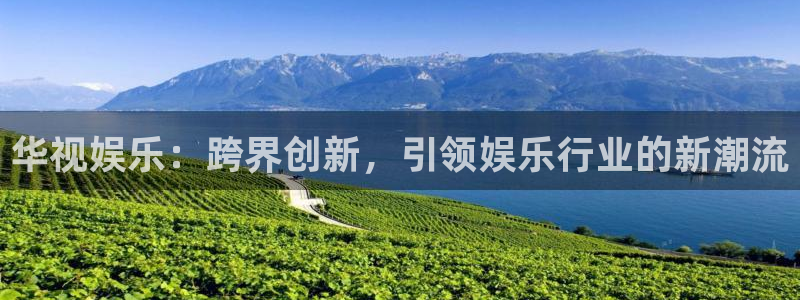 安徽今年会扩招吗：华视娱乐：跨界创新，引领娱乐行业的新潮流