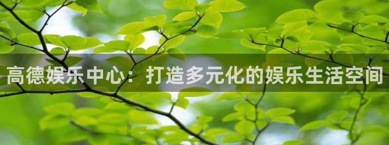 属兔今年会离婚吗：高德娱乐中心：打造多元化的娱乐生活空间