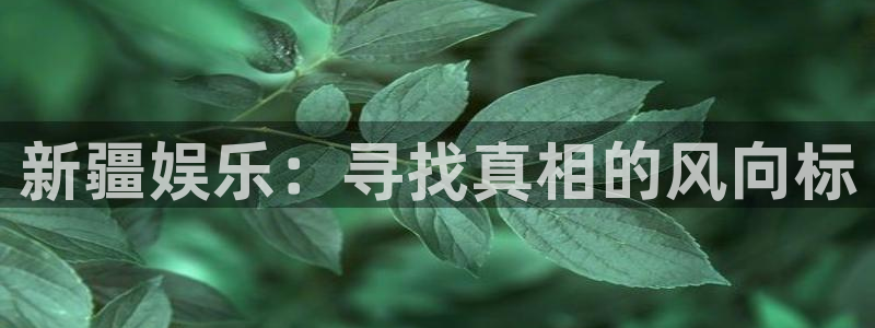 奥沙利文:今年会去中东生活