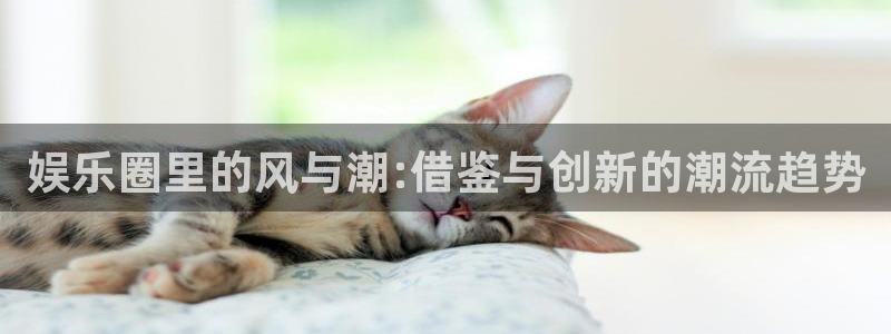 今年会手机版下载：娱乐圈里的风与潮:借鉴与创新的潮流趋势