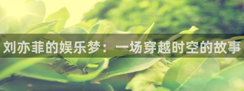 属马的今年会离婚吗：刘亦菲的娱乐梦：一场穿越时空的故事