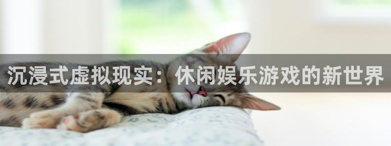 二建今年会降分吗：沉浸式虚拟现实：休闲娱乐游戏的新世界