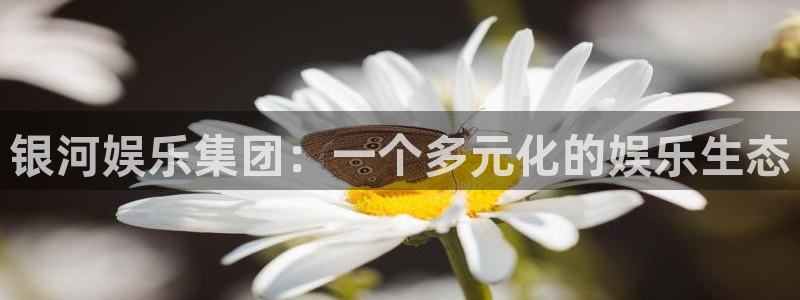 壹号大舞台网站：银河娱乐集团：一个多元化的娱乐生态