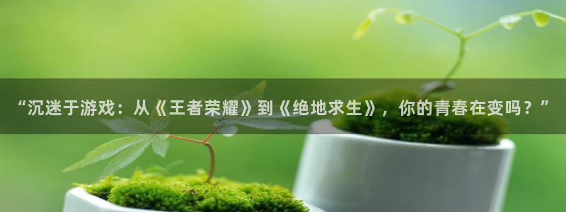 属猴的今年会遇到另一半吗：“沉迷于游戏：从《王者荣耀》到《绝地求生》，你的青春在变吗？”