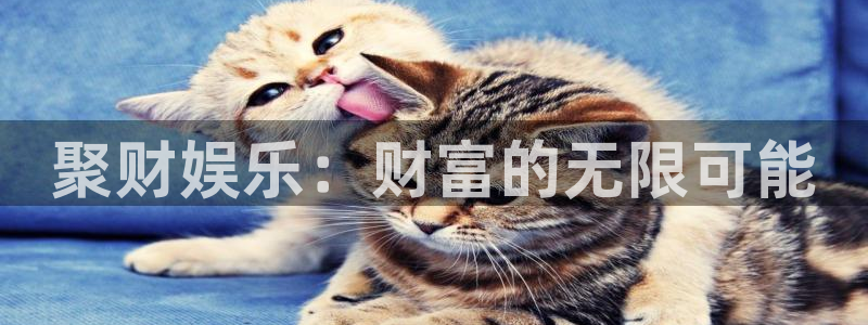 广东今年会下雪吗：聚财娱乐：财富的无限可能