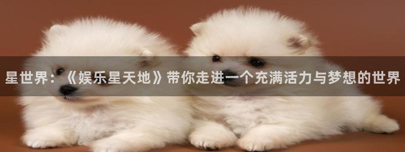 小米平板今年会出新品吗：星世界：《娱乐星天地》带你走进一个充满活力与梦想的世界