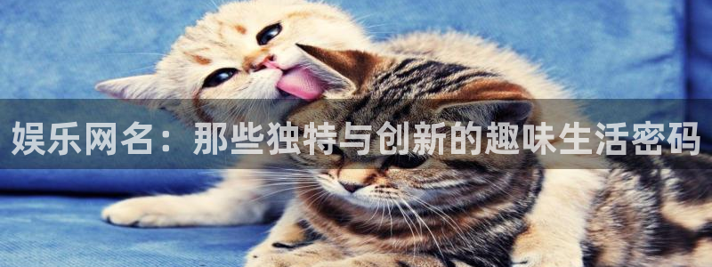 属龙的人今年会死吗：娱乐网名：那些独特与创新的趣味生活密码