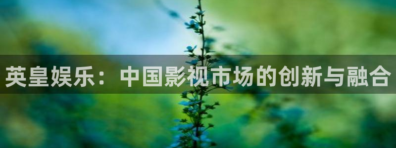 黄金今年会跌价吗：英皇娱乐：中国影视市场的创新与融合