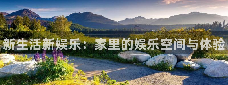 今年会是牛市吗：新生活新娱乐：家里的娱乐空间与体验