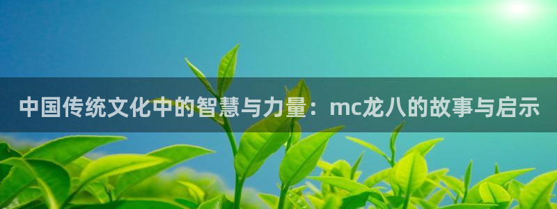 今年会登录：中国传统文化中的智慧与力量：mc龙八的故事与启示