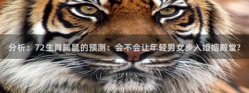 今年会普及高中吗：分析：72生肖属鼠的预测：会不会让年轻男女步入婚姻殿堂?