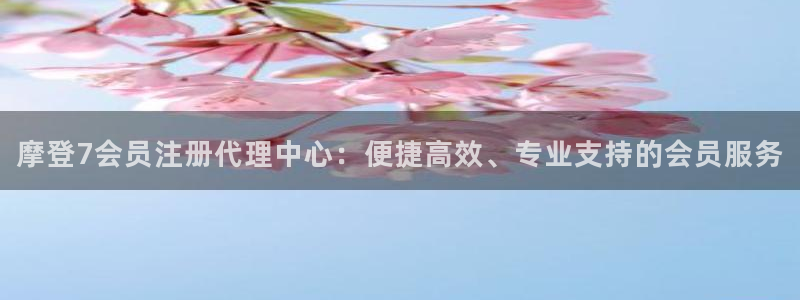 上海今年会涨工资吗：摩登7会员注册代理中心：便捷高效、专业支持的会员服务