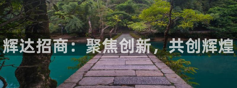玉米今年会大涨吗：辉达招商：聚焦创新，共创辉煌
