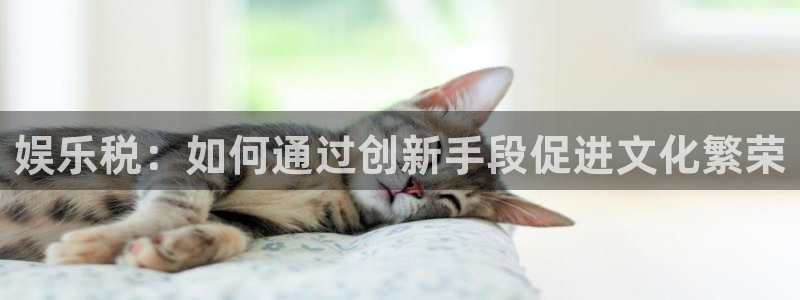 今年会降分数线吗：娱乐税：如何通过创新手段促进文化繁荣