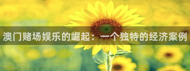 今年会出什么新手机：澳门赌场娱乐的崛起：一个独特的经济案例