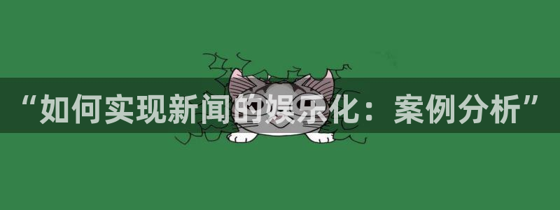 养老金今年会涨吗：“如何实现新闻的娱乐化：案例分析”
