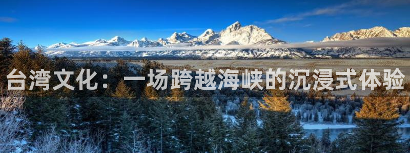 壹号国际app免费下载安装：台湾文化：一场跨越海峡的沉浸式体验