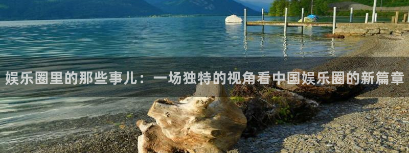 今年会登录：娱乐圈里的那些事儿：一场独特的视角看中国娱乐圈的新篇章